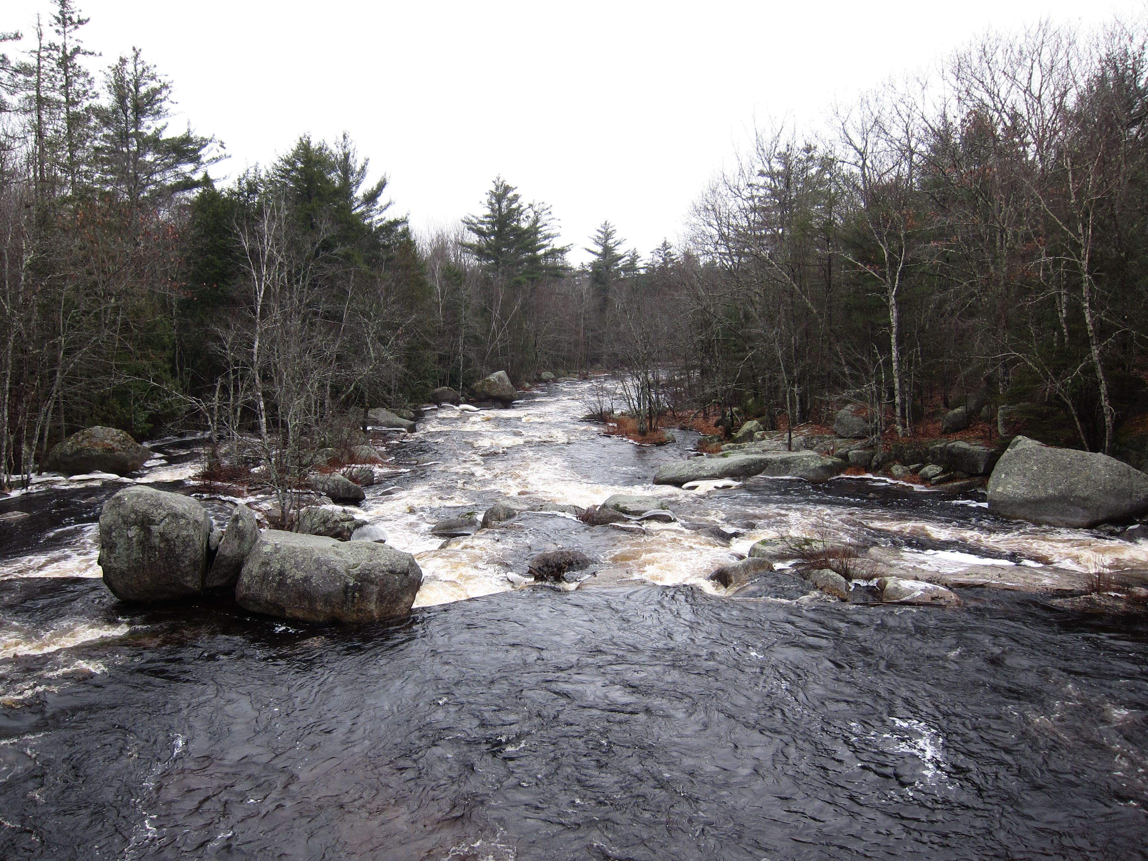 image of Narraguagus River