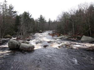 image of Narraguagus River