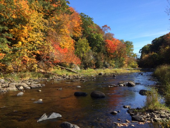 stream with trees in orange, yellow fall foliage