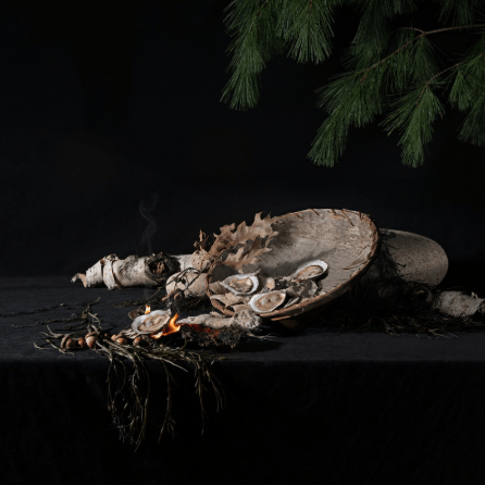 a composite photograph of oyster shells in a birchbark bowl, with seaweed and pine branches and a bit of fire
